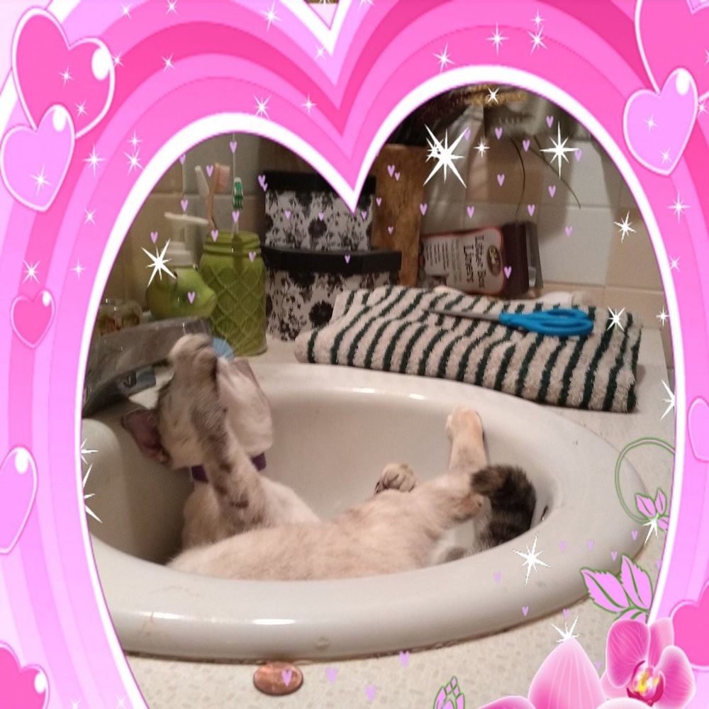 Meet your Posher, Teresa